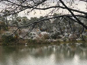 holiday memory winter 