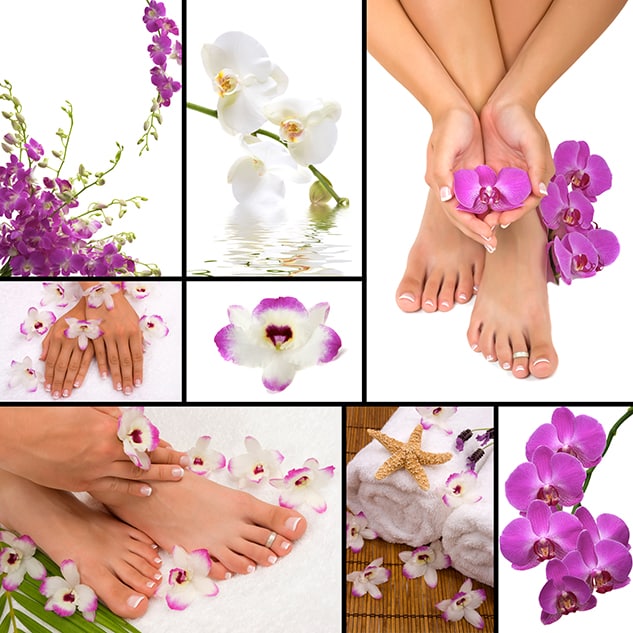 Amenities in Assisted Living - TLC