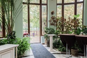 public hall - “Plant Lady” is the New “Cat Lady”…and it’s the Best Thing Ever!!