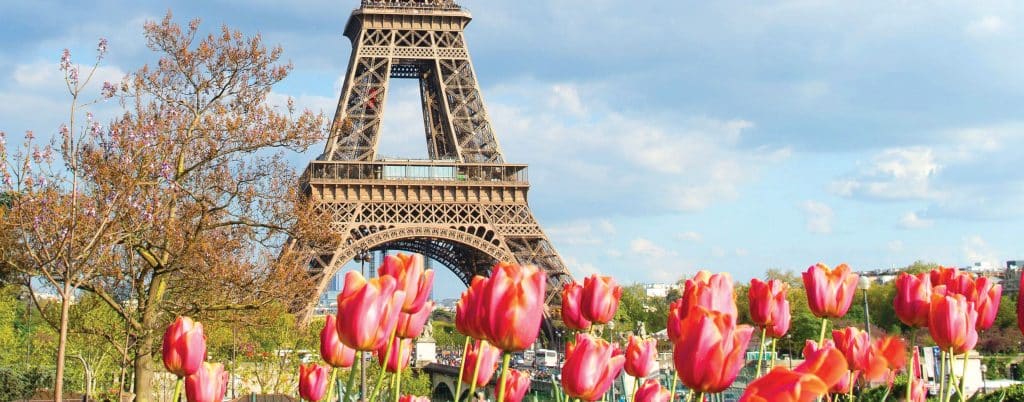 Eiffel Tower - French